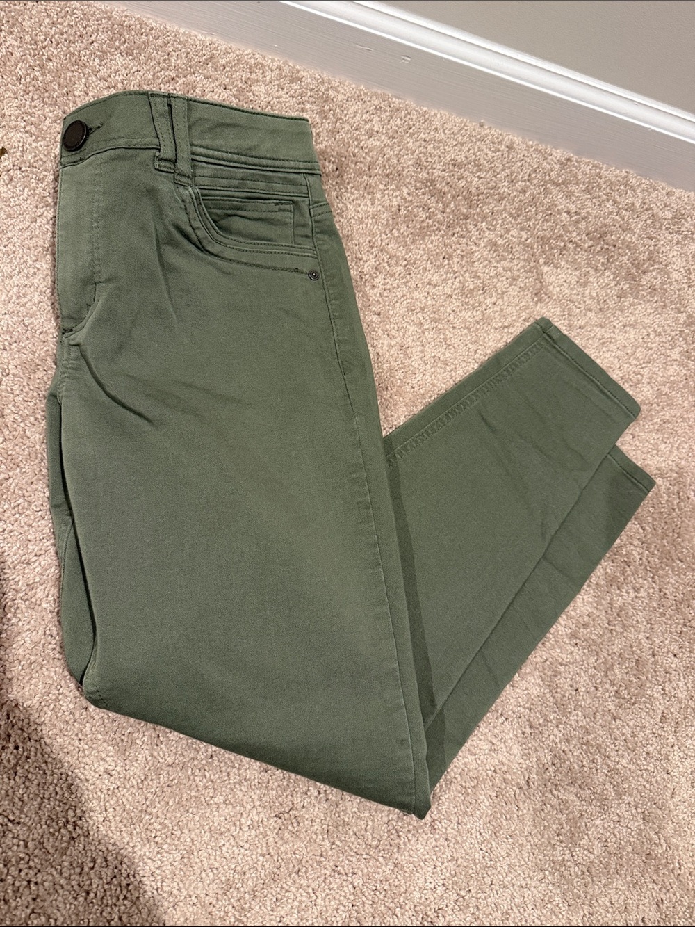 Democracy Olive Green Ab Technology Pants